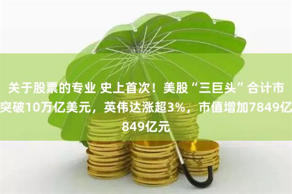 关于股票的专业 史上首次！美股“三巨头”合计市值突破10万亿美元，英伟达涨超3%，市值增加7849亿元