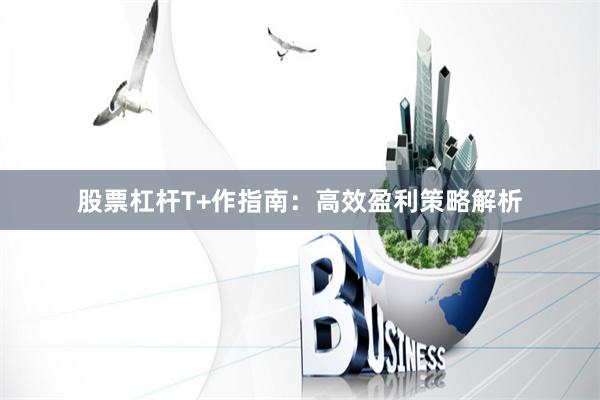 股票杠杆T+作指南：高效盈利策略解析